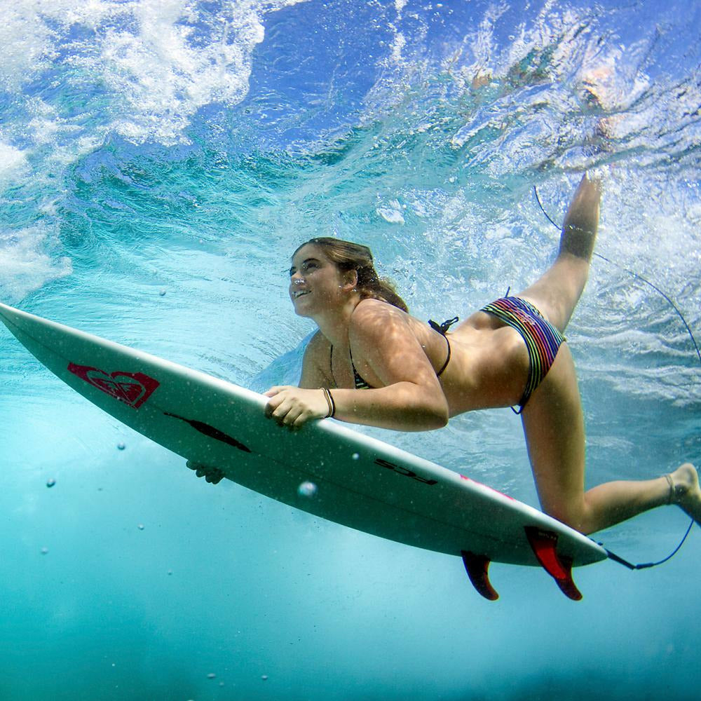Africa - See the Big 5 - Surf The Point Of Gold - Pollywog