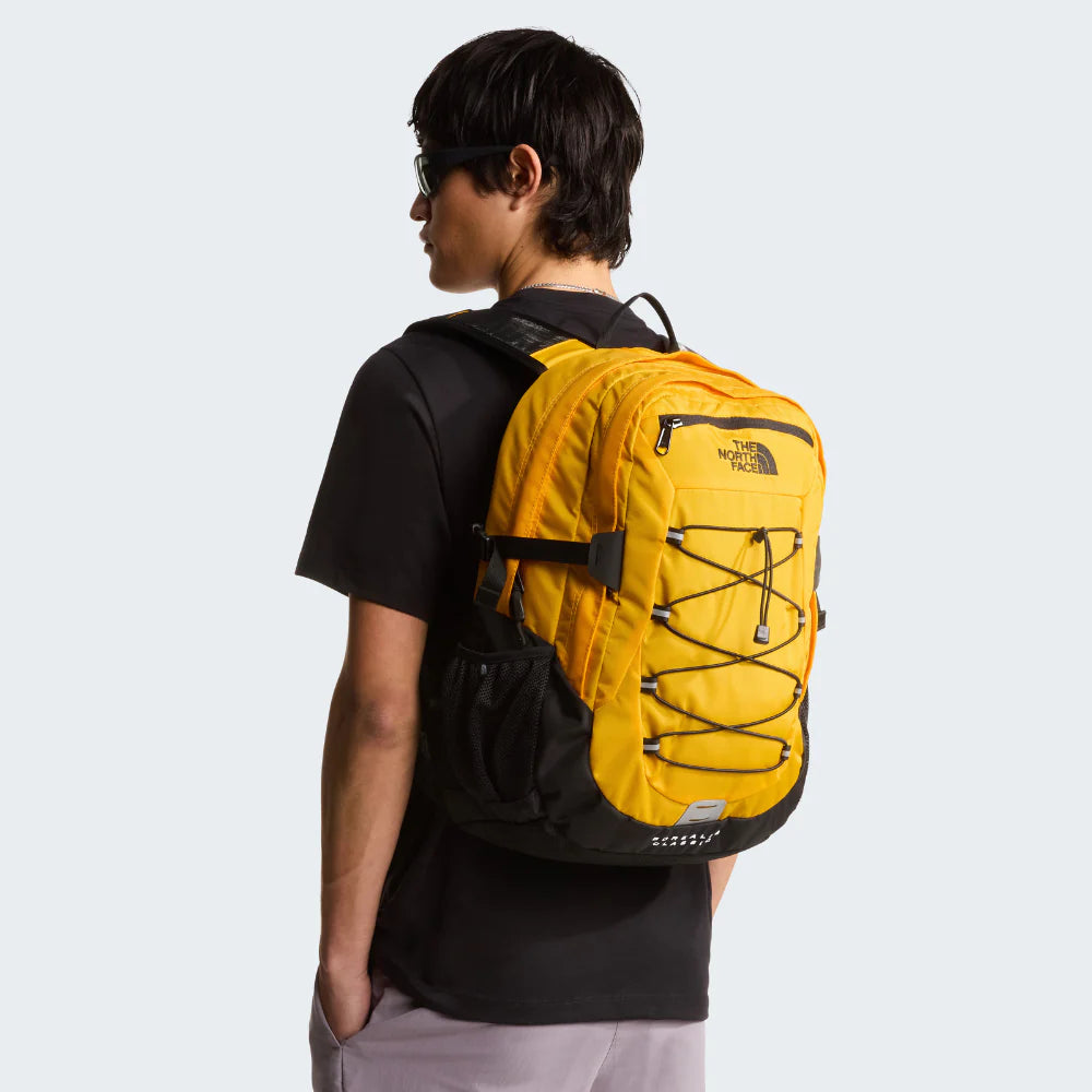 THE NORTH FACE - BOREALIS CLASSIC - 29L - Pollywog