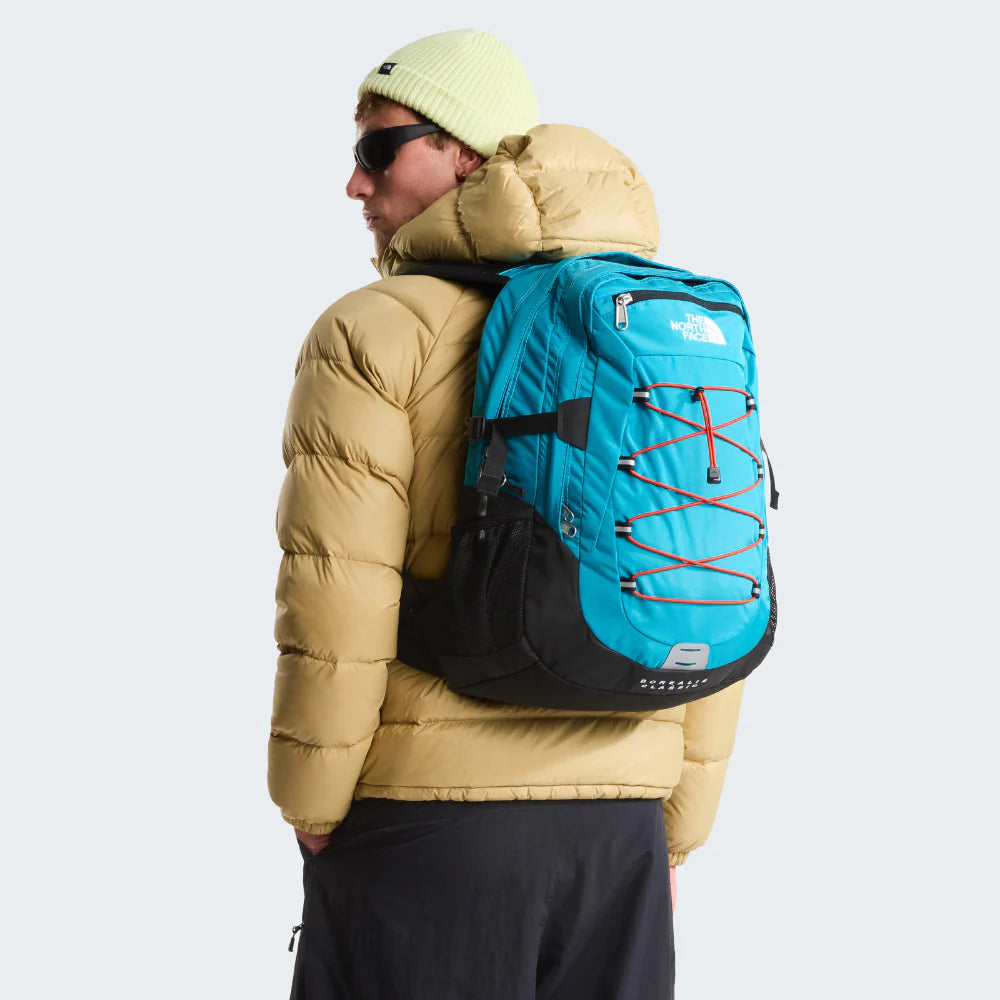 THE NORTH FACE - BOREALIS CLASSIC - 29L - Pollywog