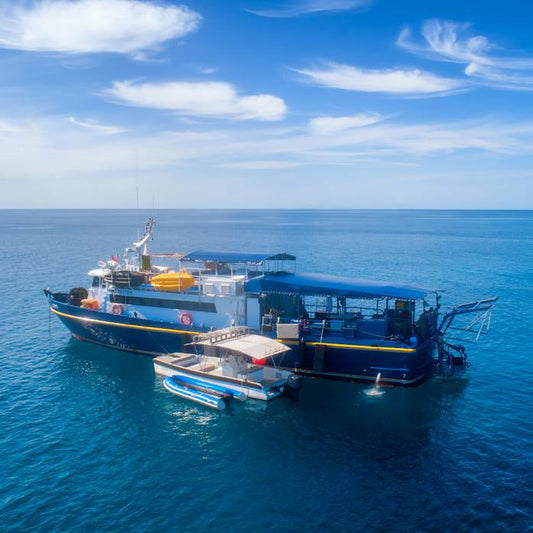 Surf Banyaks - The Seriti - Your uncrowded surf charter solution - Pollywog