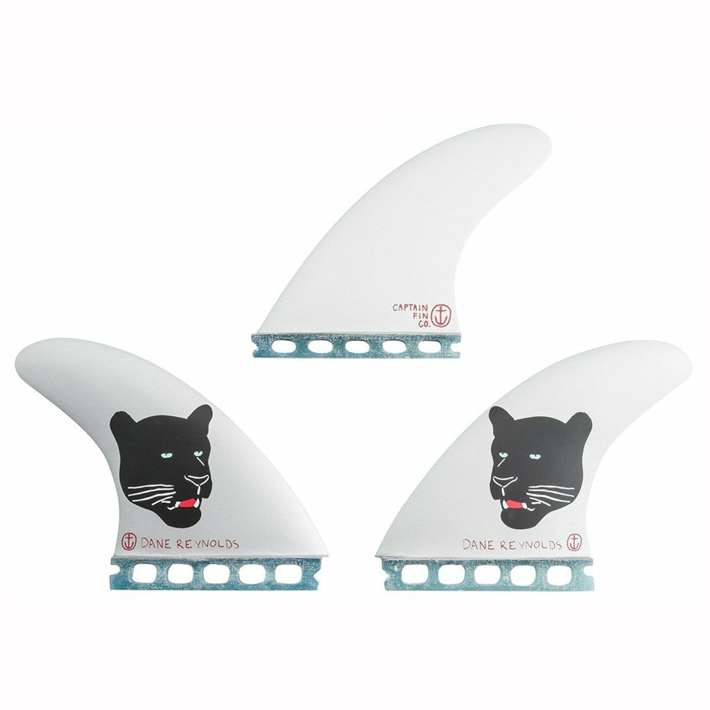 Captain Fin – Pollywog