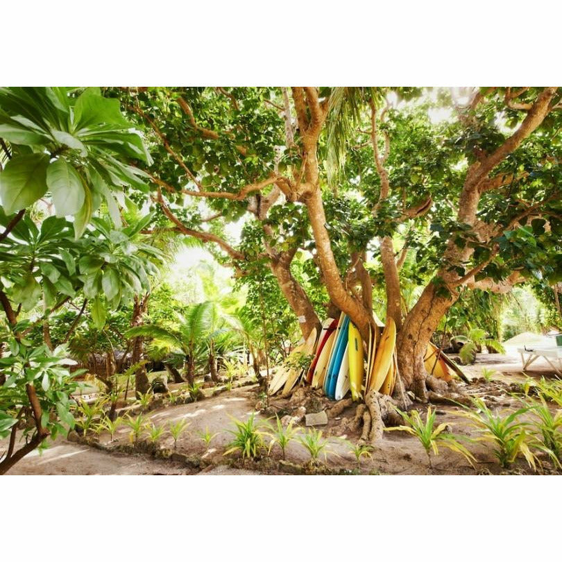 Ha'atafu Beach Resort - Tonga - Pollywog