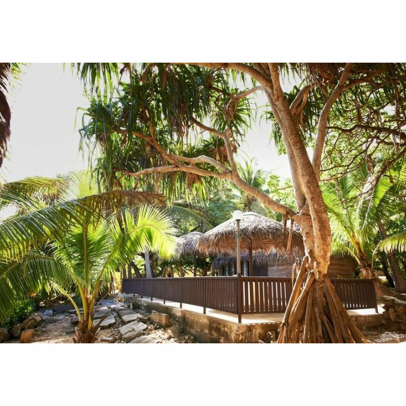 Ha'atafu Beach Resort - Tonga - Pollywog