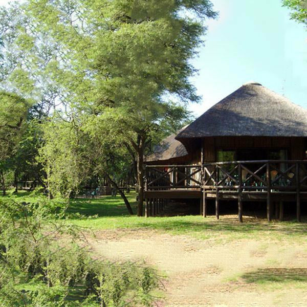 South Africa - Kwa-Zulu Natal - Beach and Bush Package - Pollywog