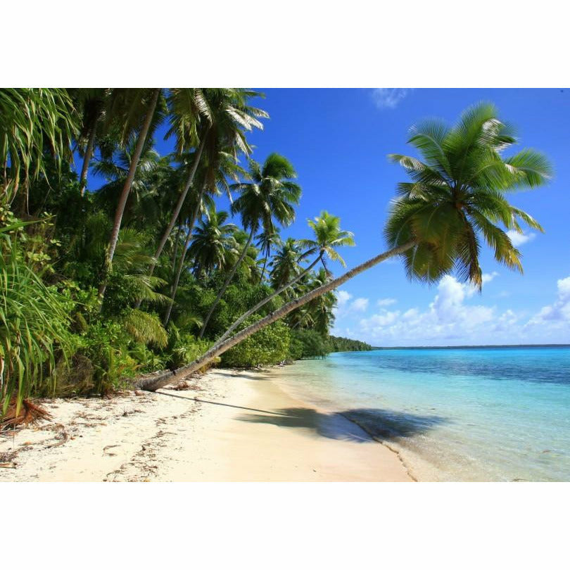 Pohnpei Surf Club - PPASS - Micronesia - Pollywog