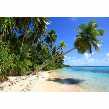 Pohnpei Surf Club - PPASS - Micronesia - Pollywog