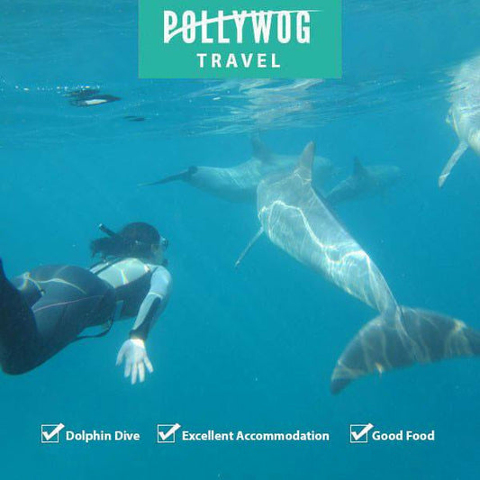 Mozambique - Ponto Dolphin Encounters - Pollywog