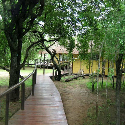 South Africa - Kwa-Zulu Natal - Beach and Bush Package - Pollywog